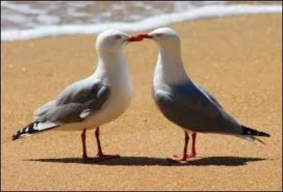 Qui n'a pas une grande valeur :