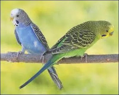 Dispositif assurant l'étanchéité en différents endroits d'une construction :