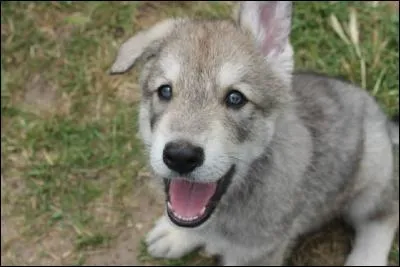 Parmi ces petites bouilles, laquelle préférez-vous ?