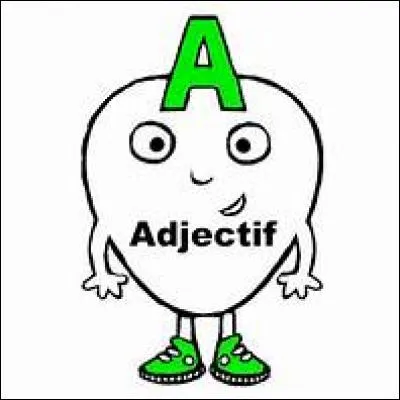 Quel adjectif te qualifie le mieux ?