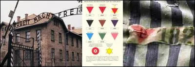 Le 09 mars 1937 : 
Suite à une directive du 15 janvier 1937, le 09 mars 1937, Himmler fait arrêter et déporter 2 000 personnes.
Que leur reproche-t-on ?