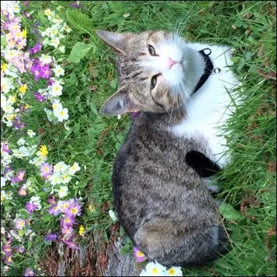 Aimez-vous faire des câlins ?