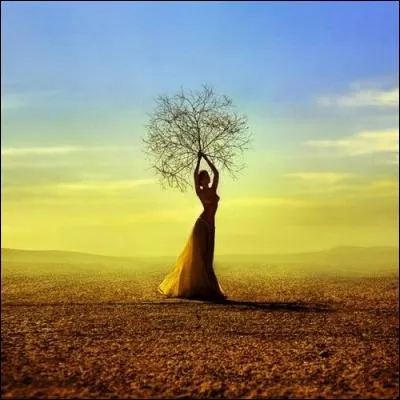 Jeune fille préférant être changée en laurier plutôt que de céder aux avances d'Apollon. Qui est-elle ?