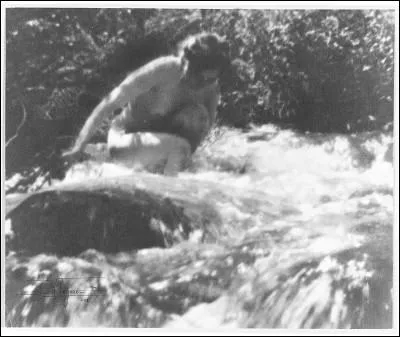 Jeune fille de Delphes, elle se jeta dans une fontaine pour échapper à la poursuite d'Apollon. Qui est-elle ?