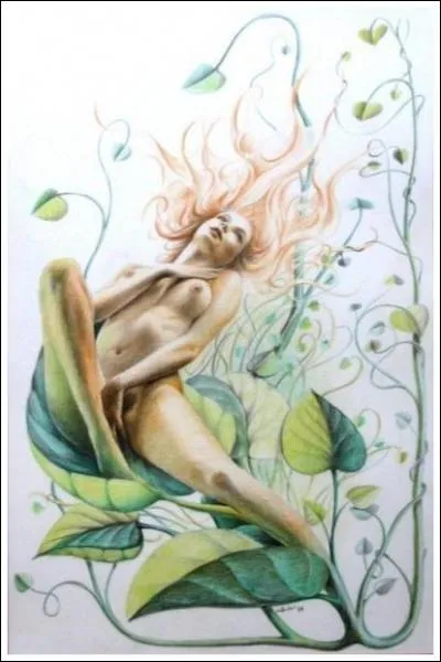 Métamorphosée en une plante épineuse par Apollon, pour la punir de lui avoir griffé le visage alors qu'il tentait de l'enlever. Qui est-elle ?