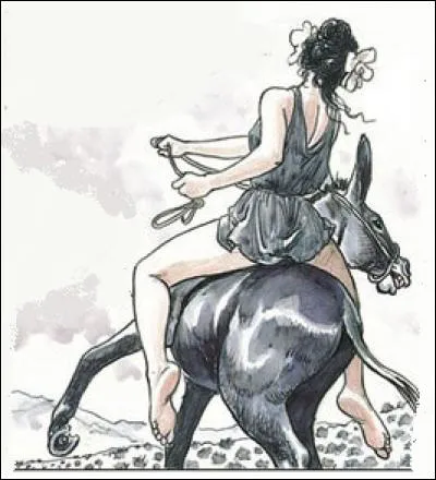 Le héros est transformé malencontreusement en âne où il lui arrive de nombreuses aventures comiques, érotiques et ésotériques. Qui est l'auteur romain du roman "L'Âne d'or" ?