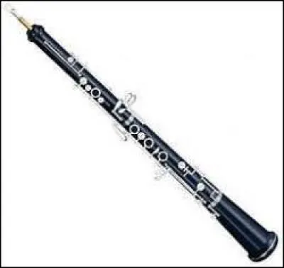 Quel est le nom de cet instrument ?