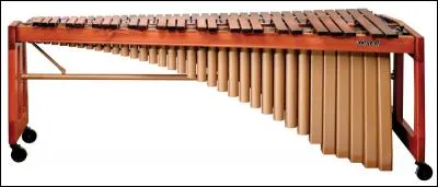 Quel est le nom de cet instrument ?