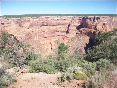 Aujourd'hui, il fait 40 degrés et un soleil de plomb. Vous êtes en séjour à l'hôtel. Que faites-vous ?
