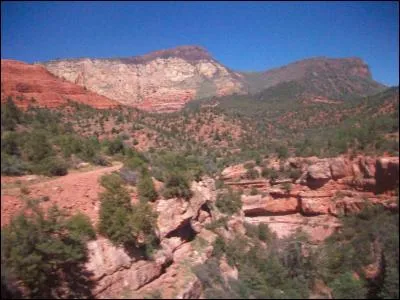 Il n'est de bonnes vacances sans bons repas. Quel serait votre repas idéal en vacances ?