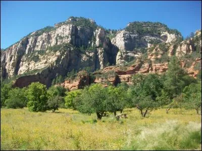 Quel est votre moyen de transport favori pour les vacances ?