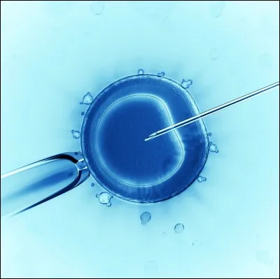 Quel personnage de Tekken est né sous fécondation in vitro ?