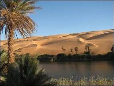En géographie, qu'est-ce qu'est une oasis ?