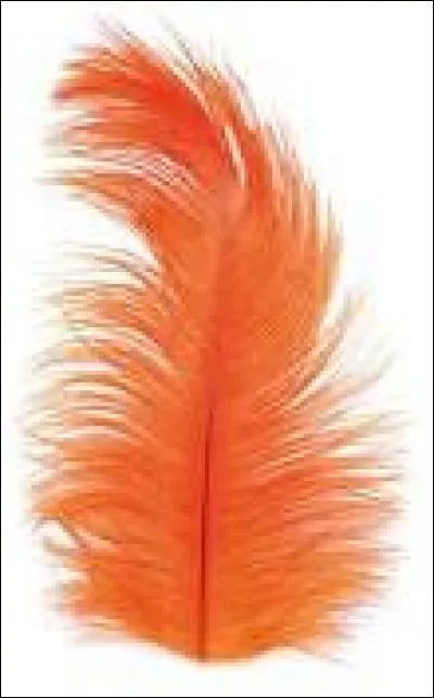 Participe passé du verbe "puer" :