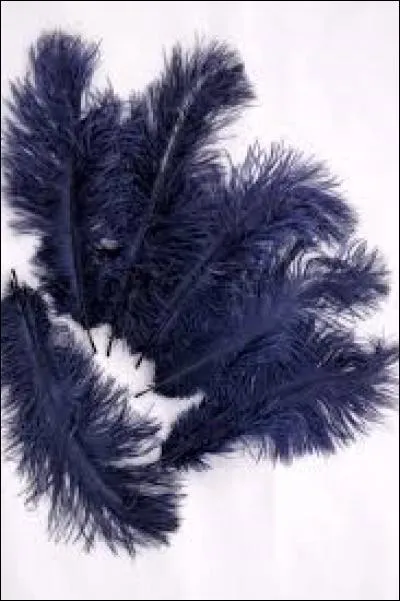 Vingt-et-unième lettre de l'alphabet grec :