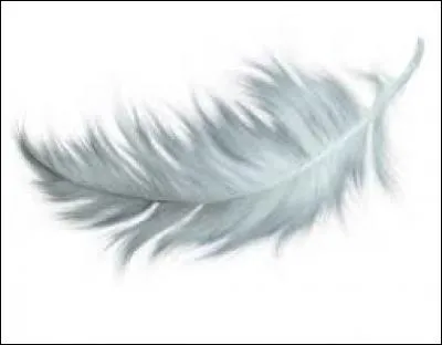 Soupe traditionnelle du Vietnam consommée au petit déjeuner et à tout moment de la journée :