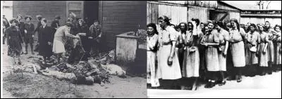 Le 15 mai 1939 : 
Le camp de concentration de Ravensbrück ouvre ses portes. A sa fermeture (1945), 132 000 personnes y furent emprisonnées. 90 000 y furent tuées.
Pour quelle catégorie de gens est-il ouvert ?