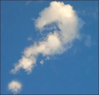 Par rapport à ton idole, tu dirais que tu es...