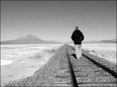 Quel autre chanteur est l'auteur de : "Partir" ?