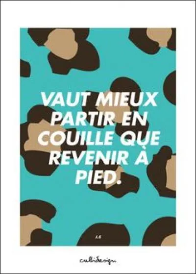 Quel romancier français à succès est l'auteur de : "je reviens te chercher" ?