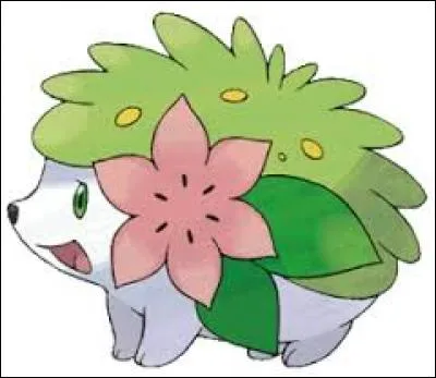 Quel est le type et le nom de ce Pokémon ?