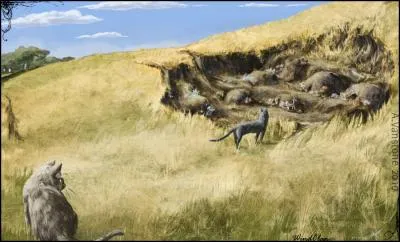 Que préfères-tu faire ?