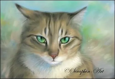 Qui est ton lieutenant actuel préféré ? (Cycle 4, livre 4)