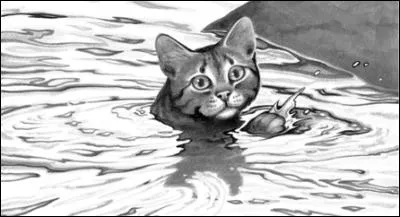 Quel est ton guérisseur actuel préféré ? (Cycle 4, livre 4)