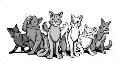 Un chat domestique pénètre sur ton territoire, quelle est ta réaction ?