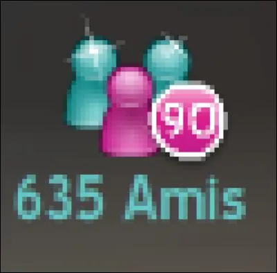 Sur MSP peut-on avoir des demandes d'amis ?