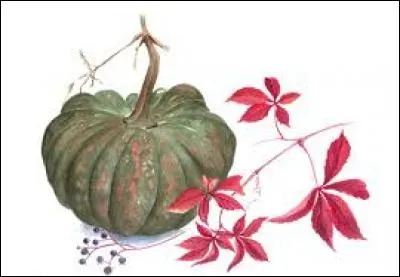 Désert de pierres :