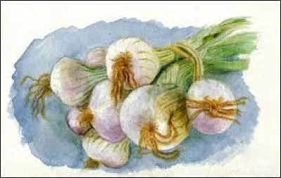 Grand arbre de l'Asie du Sud :