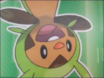 Marisson est de type :