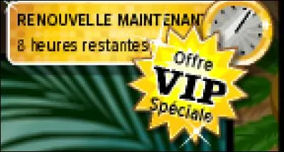 Quand on est VIP semaine, a-t-on la posibilité d'avoir des packs ?
