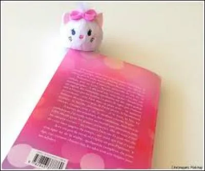 Quel est le titre de son livre ?