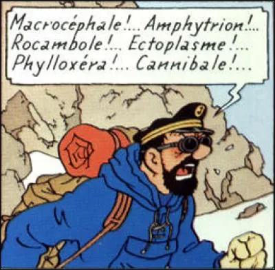 Mais que dit-il encore ?