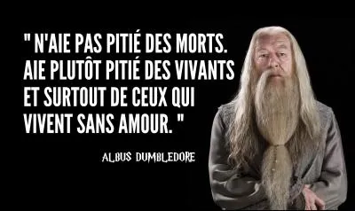 Si je te dis Albus Dumbledore, tu dis :