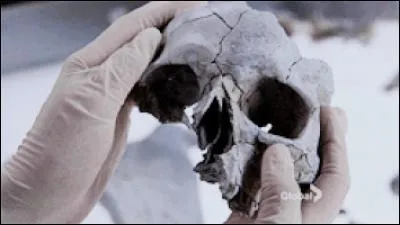 Dans la saison 11, un proche de Booth meurt. Qui est-ce ?