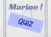 Quiz Un quiz 100% Marine !
