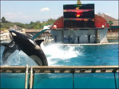 En France, dans quelle ville se situe le parc Marineland ?