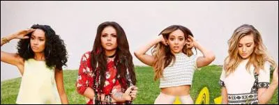 Quel est le nom de leur tournée 2016 ?