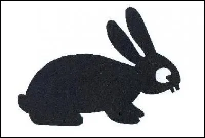 Quel animal est représenté ?