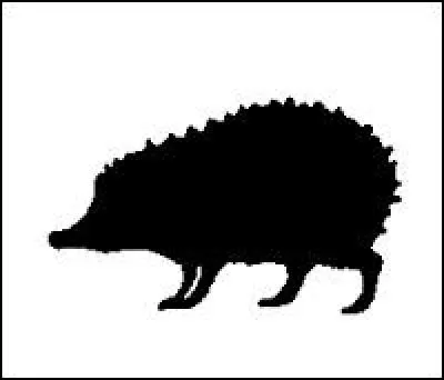 Quel animal est représenté ?