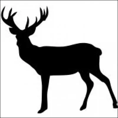 Quel animal est représenté ?