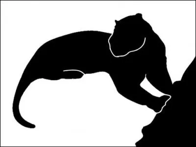 Quel animal est représenté ?