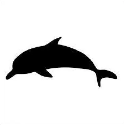 Quel animal est représenté ?