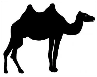 Quel animal est représenté ?