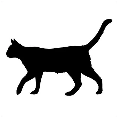 Quel animal est représenté ?