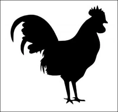 Quel animal est représenté ?