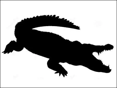 Quel animal est représenté ?